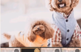 绿洲怎么发布动态?绿洲发布动态教程