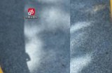网易云音乐如何设置为默认播放器?网易云音乐设置为默认播放器的方法