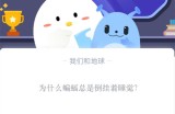 为什么蝙蝠总是倒挂着睡觉?支付宝蚂蚁庄园10月26日答案