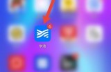 学浪怎么查看侵权投诉指引？学浪查看侵权投诉指引方法