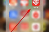 拼多多怎么查看多多号?拼多多查看多多号方法