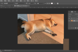 Photoshop图层样式在哪里?Photoshop图层样式查看方法